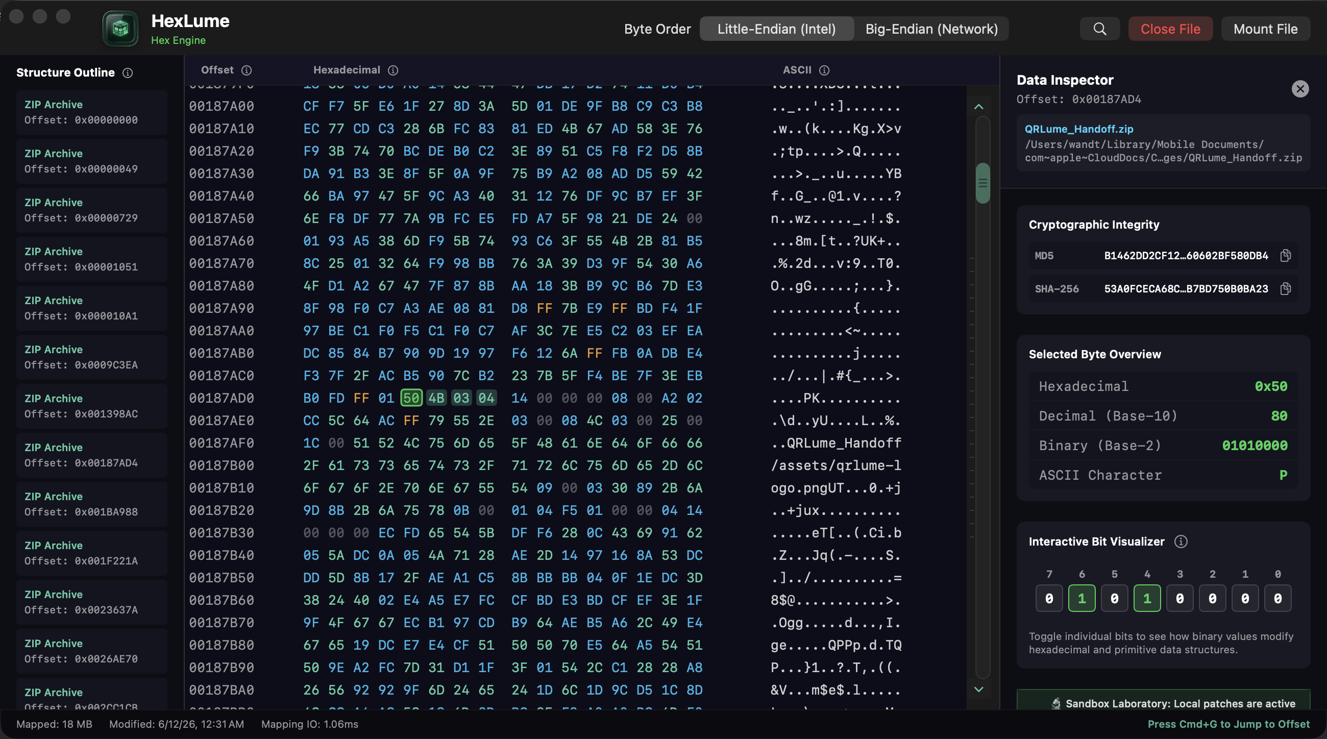 HexLume Structure Outline carving ZIP directory entries across an archive